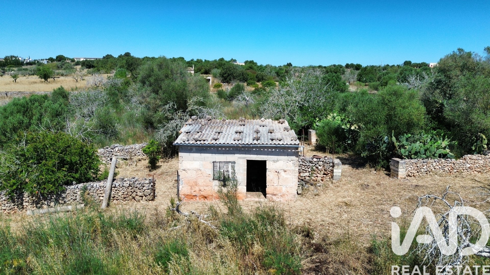 Land plot à Santa Margalida, Mallorca, Espagne 6160 m2 No. 184668