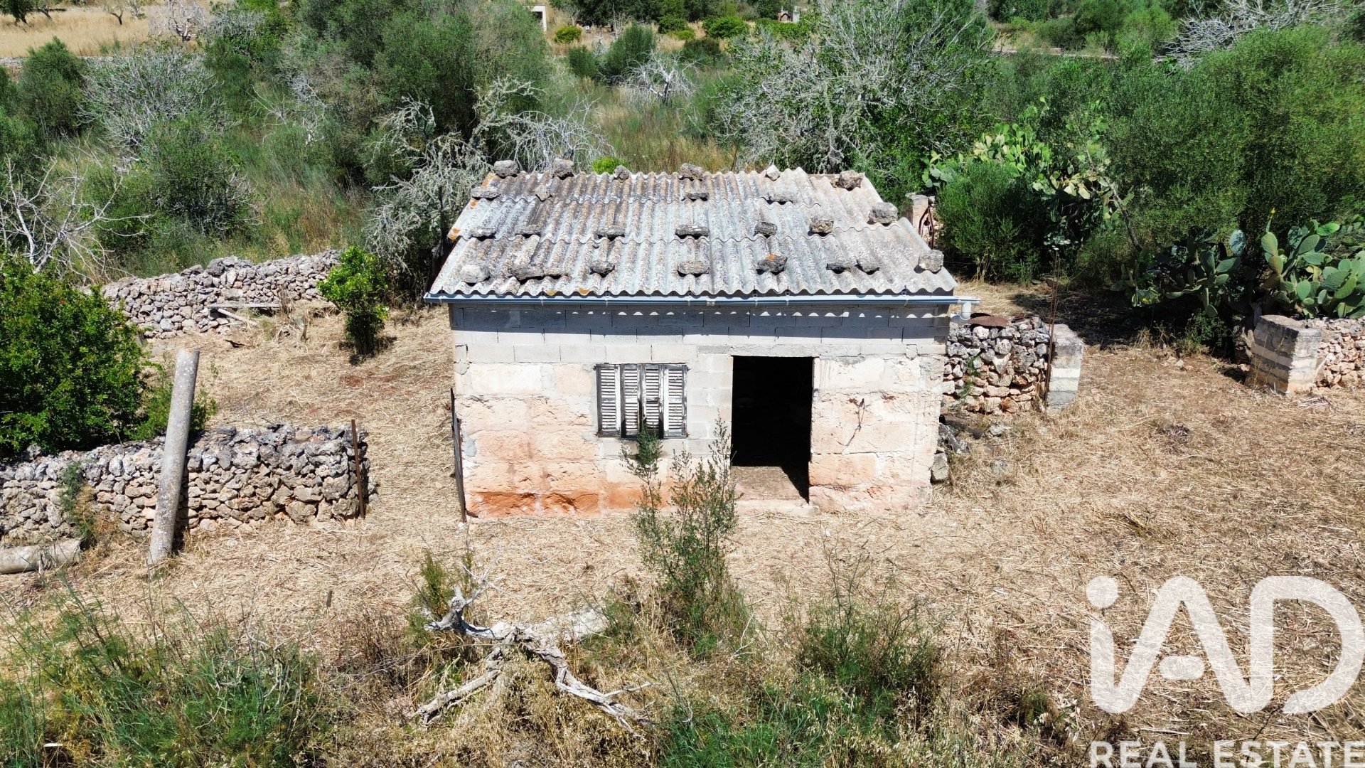 Land plot à Santa Margalida, Mallorca, Espagne 6160 m2 No. 184668