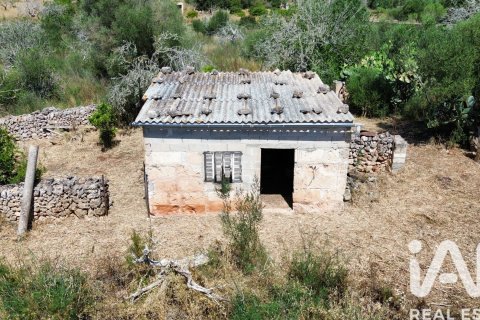 Parcela en venta en Santa Margalida, Mallorca, España 6160 m2 No. 184668 - foto 27
