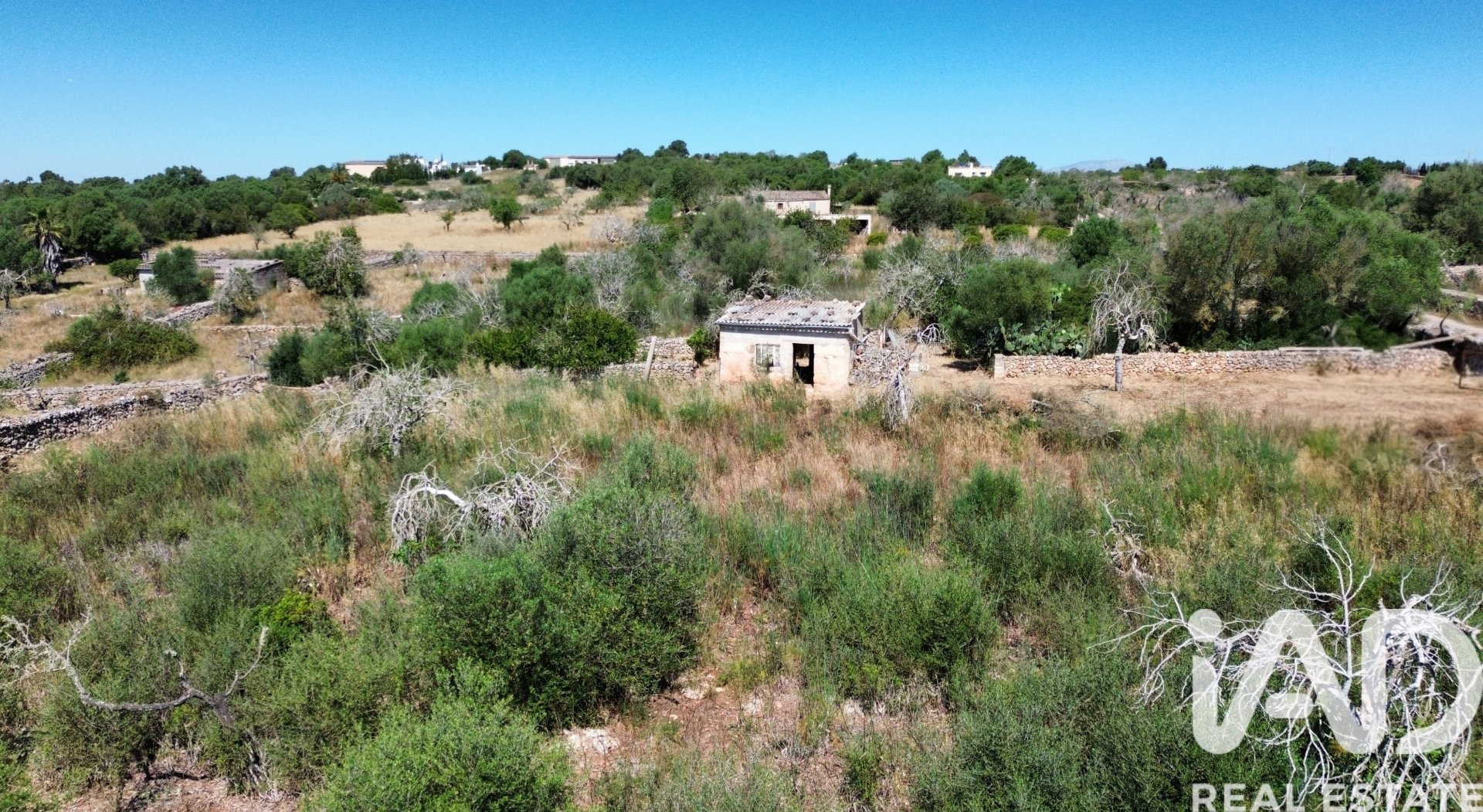 Land plot à Santa Margalida, Mallorca, Espagne 6160 m2 No. 184668