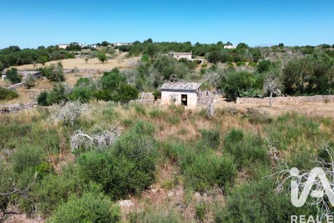 Parcela en venta en Santa Margalida, Mallorca, España 6160 m2 No. 184668 - foto 24