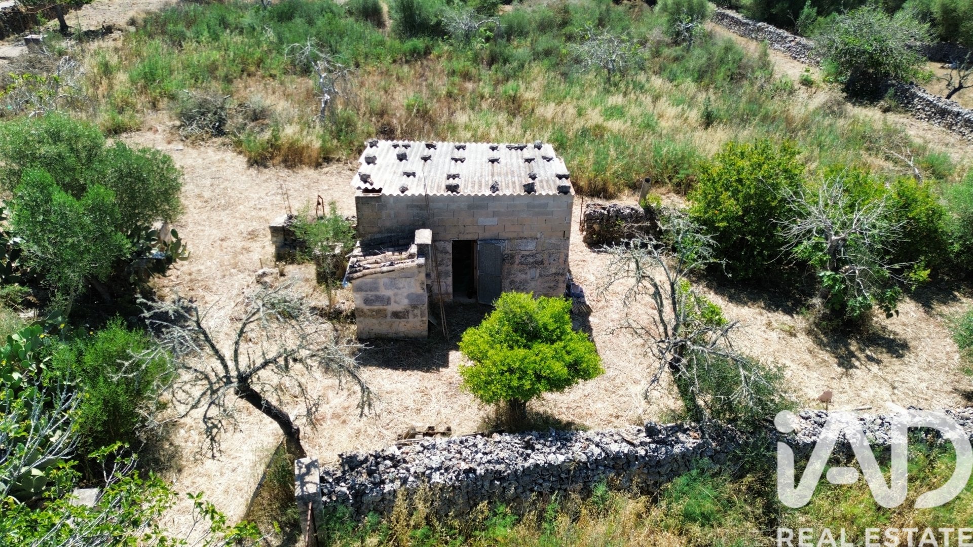 Land plot à Santa Margalida, Mallorca, Espagne 6160 m2 No. 184668