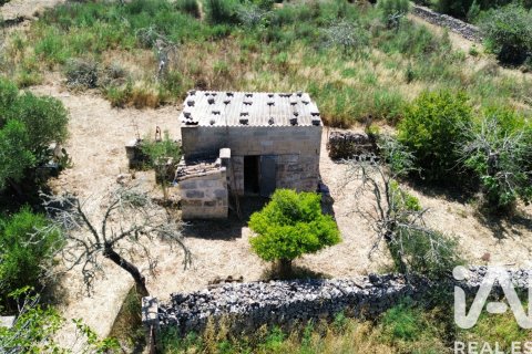 Parcela en venta en Santa Margalida, Mallorca, España 6160 m2 No. 184668 - foto 25