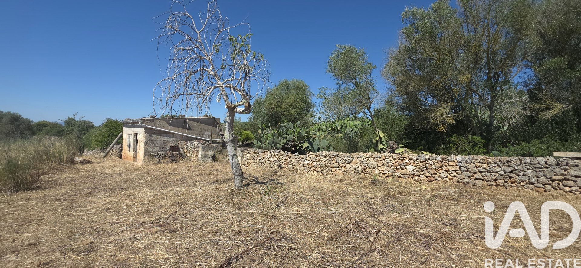 Land plot à Santa Margalida, Mallorca, Espagne 6160 m2 No. 184668