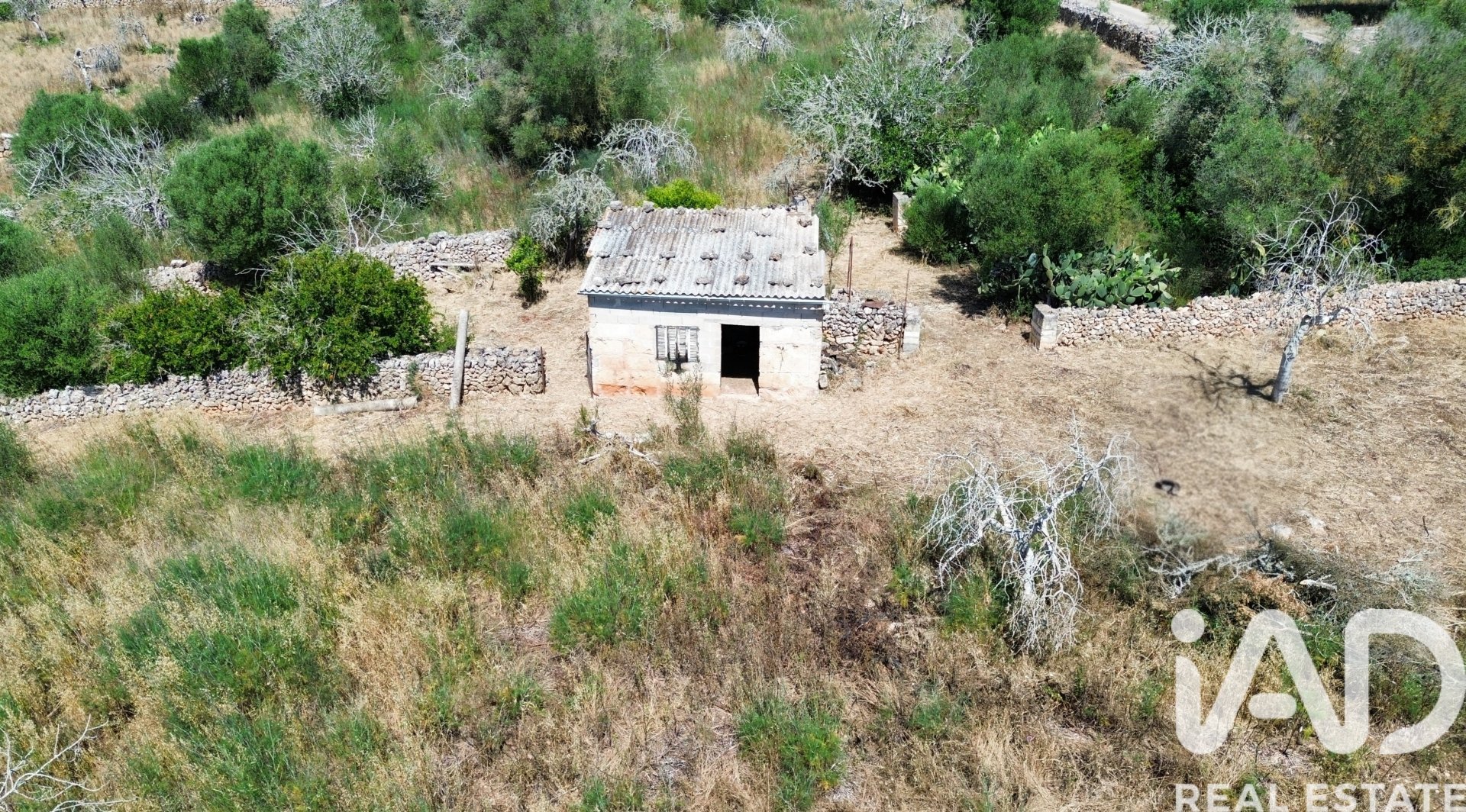 Land plot à Santa Margalida, Mallorca, Espagne 6160 m2 No. 184668