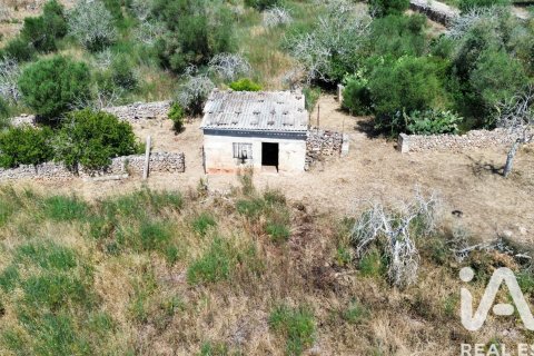 Parcela en venta en Santa Margalida, Mallorca, España 6160 m2 No. 184668 - foto 28