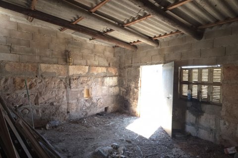 Parcela en venta en Santa Margalida, Mallorca, España 6160 m2 No. 184668 - foto 17