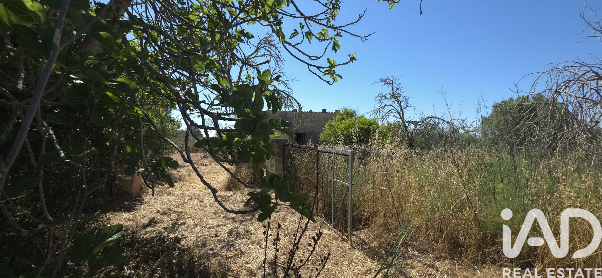 Land plot à Santa Margalida, Mallorca, Espagne 6160 m2 No. 184668