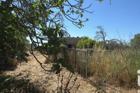 Parcela en venta en Santa Margalida, Mallorca, España 6160 m2 No. 184668 - foto 22