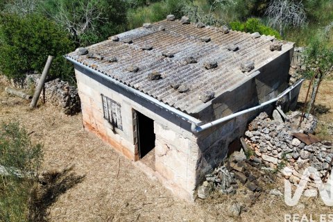 Parcela en venta en Santa Margalida, Mallorca, España 6160 m2 No. 184668 - foto 26