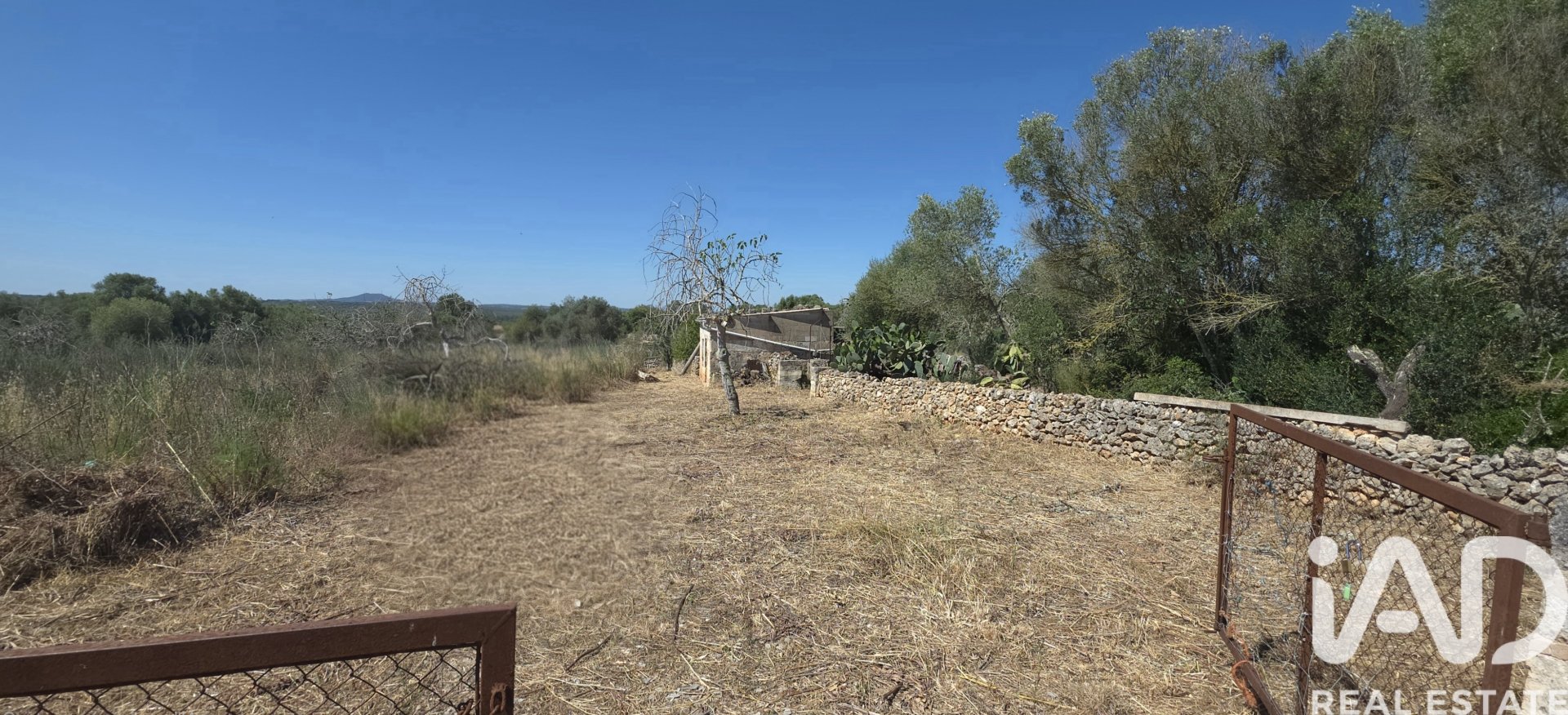 Land plot à Santa Margalida, Mallorca, Espagne 6160 m2 No. 184668