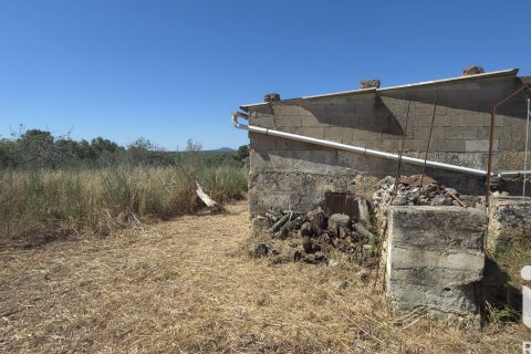 Parcela en venta en Santa Margalida, Mallorca, España 6160 m2 No. 184668 - foto 10