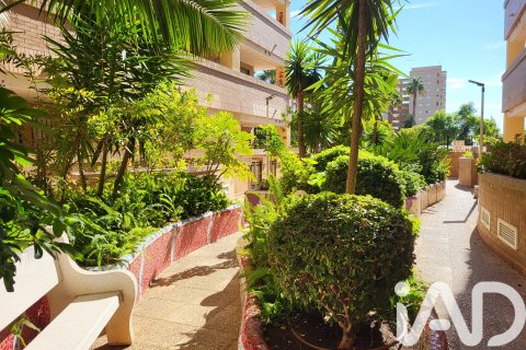 Apartamento en venta en Oropesa del Mar, Castellón, España 2 dormitorios, 61 m2 No. 184770 - foto 26