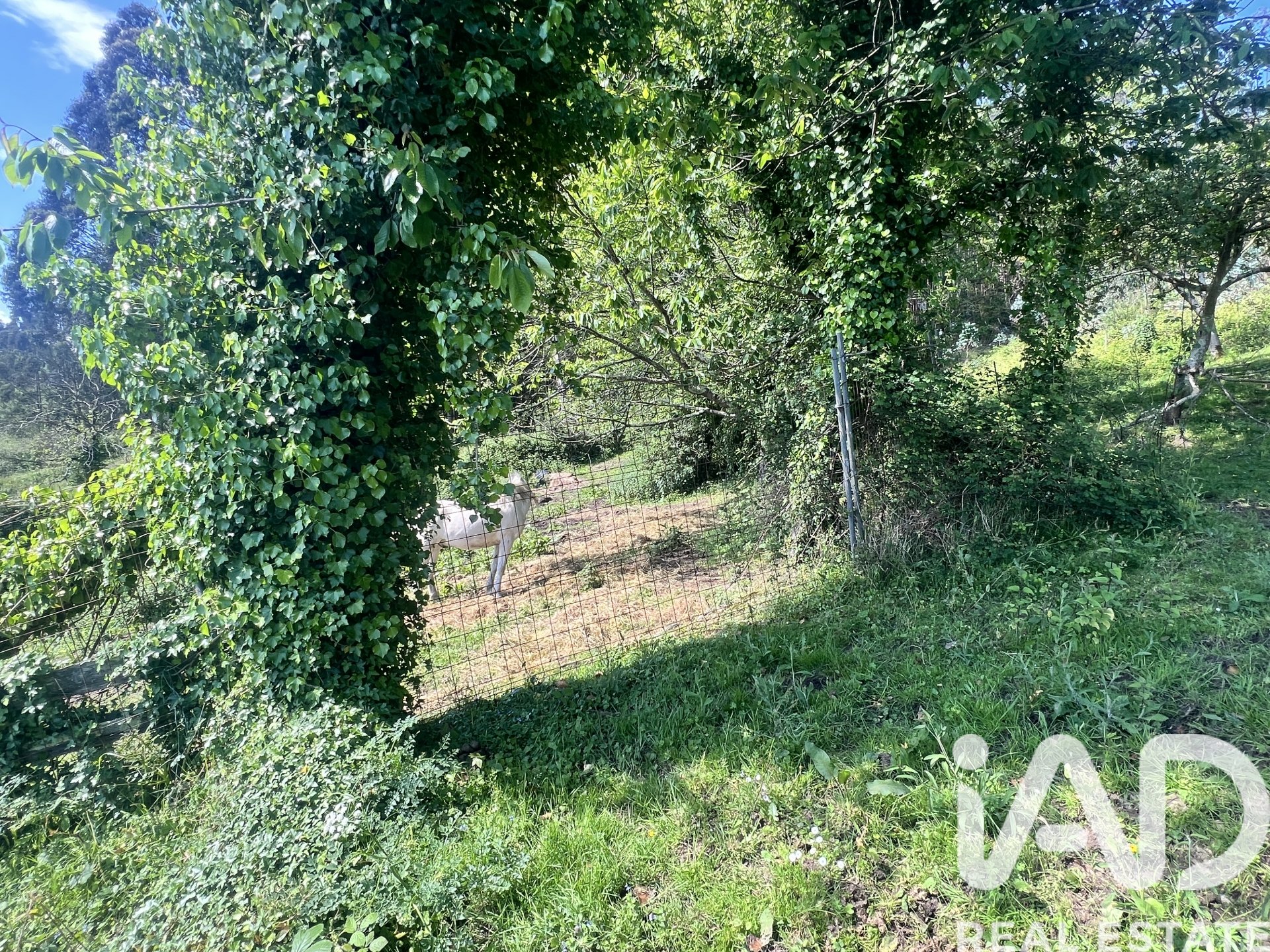 Townhouse in Castrillon, Asturias, Spain 52 sq.m. No. 184773