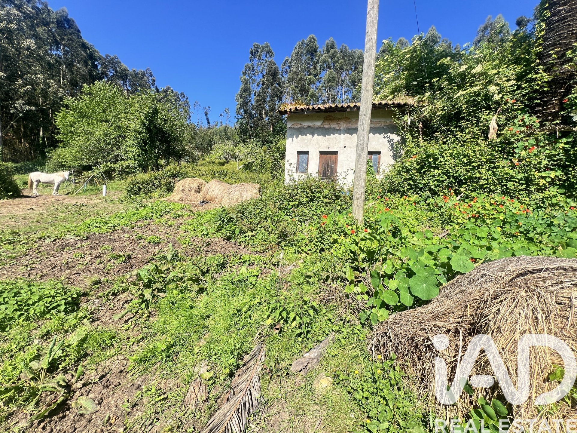 Townhouse in Castrillon, Asturias, Spain 52 sq.m. No. 184773