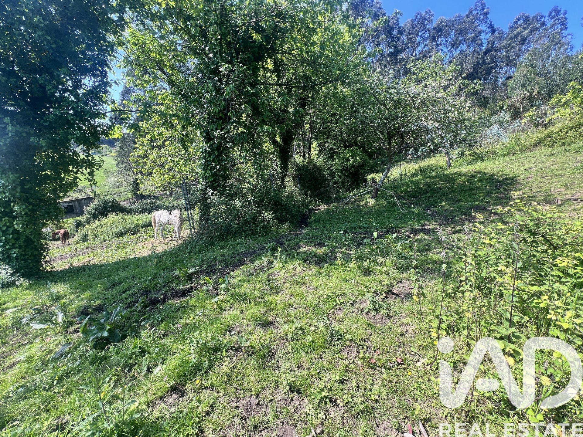 Townhouse in Castrillon, Asturias, Spain 52 sq.m. No. 184773