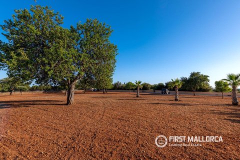 Finca zum Verkauf in Llucmajor, Mallorca, Spanien 4 Schlafzimmer, 190 m2 Nr. 179414 - Foto 23