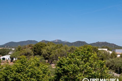 Kaupunkipientalo myytävänä Portocolom, Mallorca, Espanja, 3 makuuhuonetta, 230 m2 No. 168905 - kuva 23