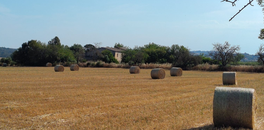 Finca in Algaida, Mallorca, Spain 2 bedrooms, 997 sq.m. No. 168904