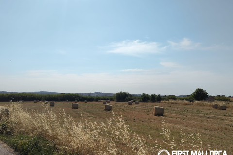 Finca for sale in Algaida, Mallorca, Spain 2 bedrooms, 997 sq.m. No. 168904 - photo 25