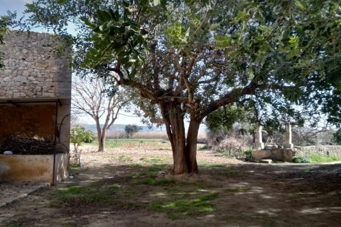 Finca for sale in Algaida, Mallorca, Spain 2 bedrooms, 997 sq.m. No. 168904 - photo 27