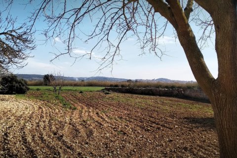 Finca for sale in Algaida, Mallorca, Spain 2 bedrooms, 997 sq.m. No. 168904 - photo 28