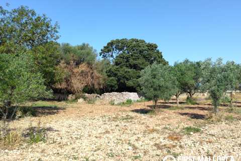 Finca for sale in Algaida, Mallorca, Spain 2 bedrooms, 997 sq.m. No. 168904 - photo 21