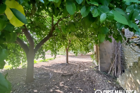 Finca for sale in Algaida, Mallorca, Spain 2 bedrooms, 997 sq.m. No. 168904 - photo 19