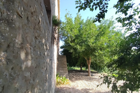 Finca for sale in Algaida, Mallorca, Spain 2 bedrooms, 997 sq.m. No. 168904 - photo 18
