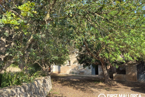 Finca for sale in Algaida, Mallorca, Spain 2 bedrooms, 997 sq.m. No. 168904 - photo 5