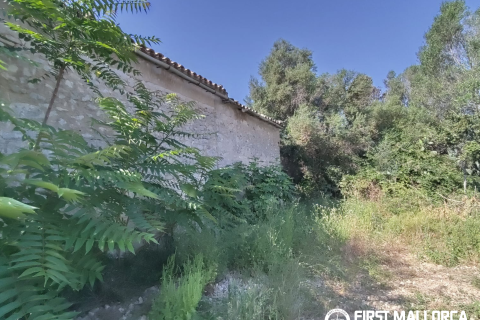 Finca for sale in Algaida, Mallorca, Spain 2 bedrooms, 997 sq.m. No. 168904 - photo 17