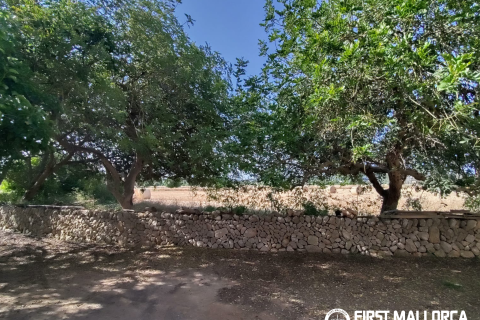 Finca for sale in Algaida, Mallorca, Spain 2 bedrooms, 997 sq.m. No. 168904 - photo 20