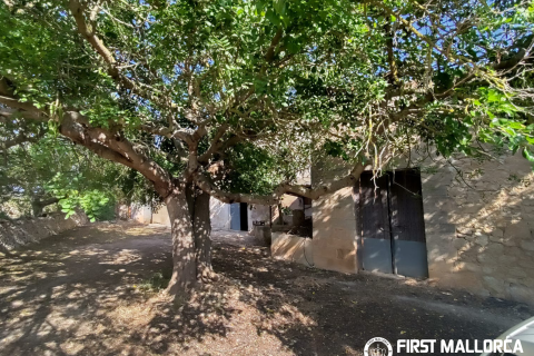 Finca for sale in Algaida, Mallorca, Spain 2 bedrooms, 997 sq.m. No. 168904 - photo 6