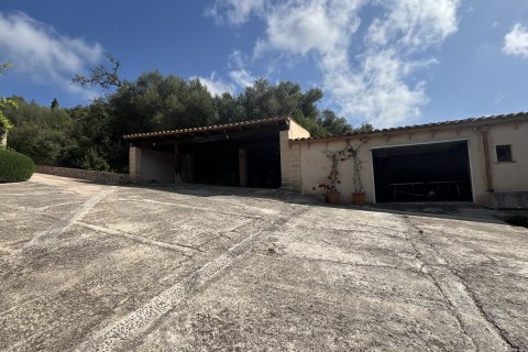 Villa à louer à Son Servera, Mallorca, Espagne, 5 chambres, 260 m2 No. 167787 - photo 29