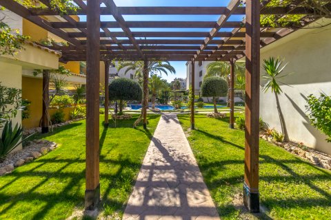 Apartment à vendre à Punta Prima, Alicante, Espagne, 3 chambres, 73 m2 No. 194818 - photo 25