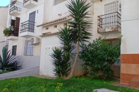 Lägenhet i Torrevieja, Alicante, Spanien 2 sovrum, 65 kvm. Nr. 184321