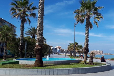 Apartament w Torrevieja, Alicante, Hiszpania 2 sypialnie, 82 mkw. nr 144573 – zdjęcie 28