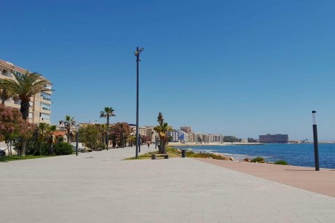 Apartament w Torrevieja, Alicante, Hiszpania 2 sypialnie, 82 mkw. nr 144573 – zdjęcie 27