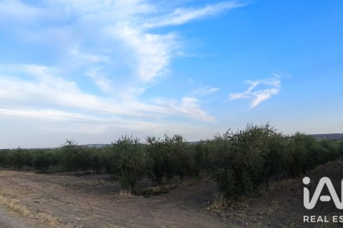Land zum Verkauf in Colmenar de Oreja, Madrid, Spanien 1109 m2 Nr. 194382 - Foto 11