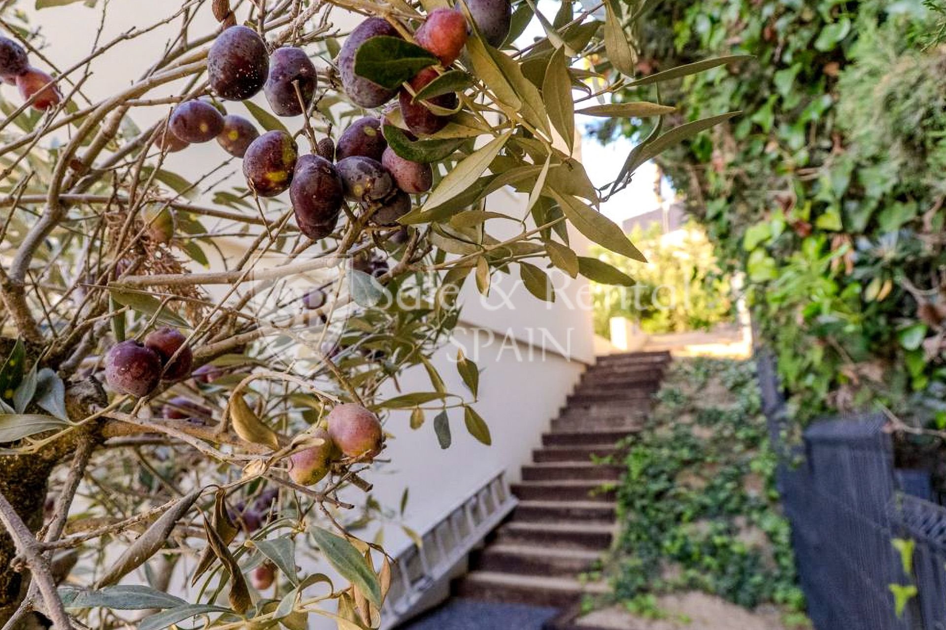 House à Lloret de Mar, Girona, Espagne 3 chambres, 222 m2 No. 168068