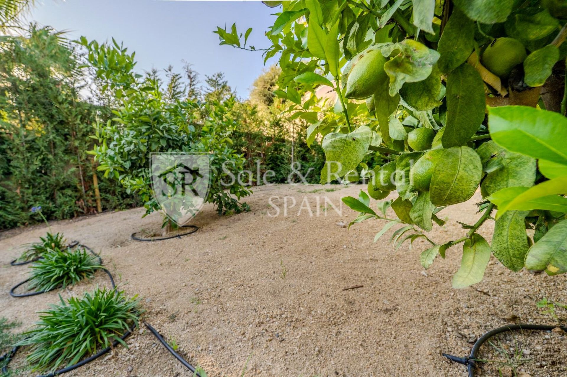 House à Lloret de Mar, Girona, Espagne 3 chambres, 222 m2 No. 168068