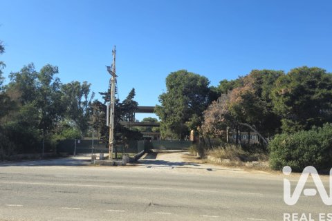 Land zum Verkauf in Cartagena, Murcia, Spanien 62300 m2 Nr. 172356 - Foto 11