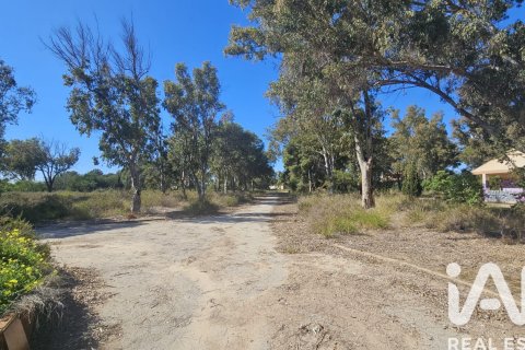 Land zum Verkauf in Cartagena, Murcia, Spanien 62300 m2 Nr. 172356 - Foto 15