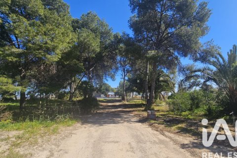 Land zum Verkauf in Cartagena, Murcia, Spanien 62300 m2 Nr. 172356 - Foto 13