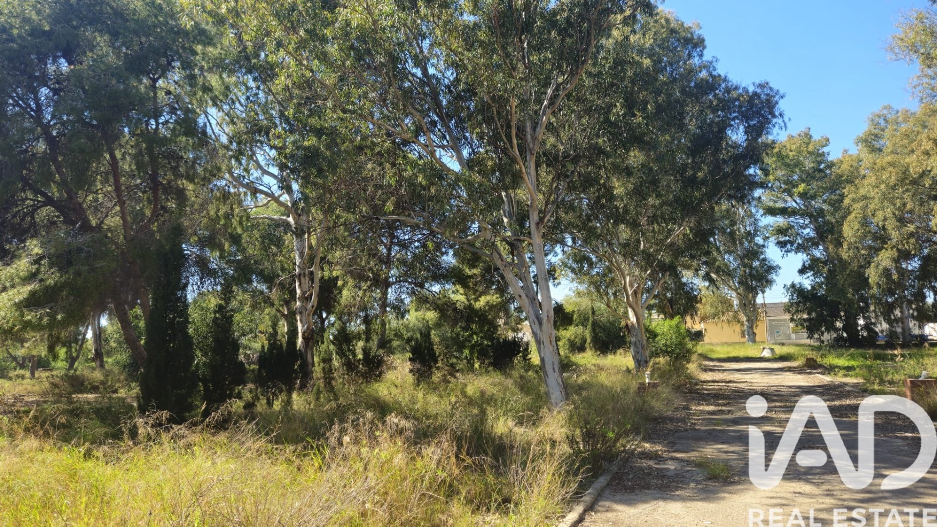 Zemes gabals Cartagena, Murcia, Spānijā 62300 m2 Nr. 172356