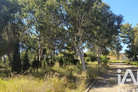 Land zum Verkauf in Cartagena, Murcia, Spanien 62300 m2 Nr. 172356 - Foto 20
