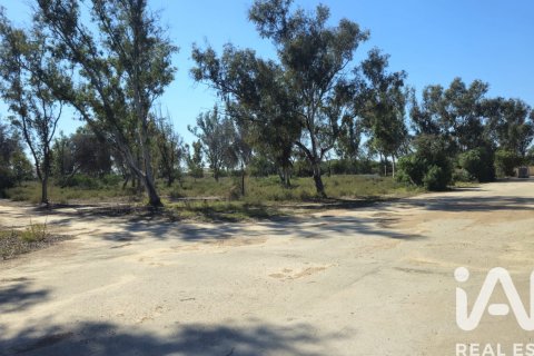 Land zum Verkauf in Cartagena, Murcia, Spanien 62300 m2 Nr. 172356 - Foto 22