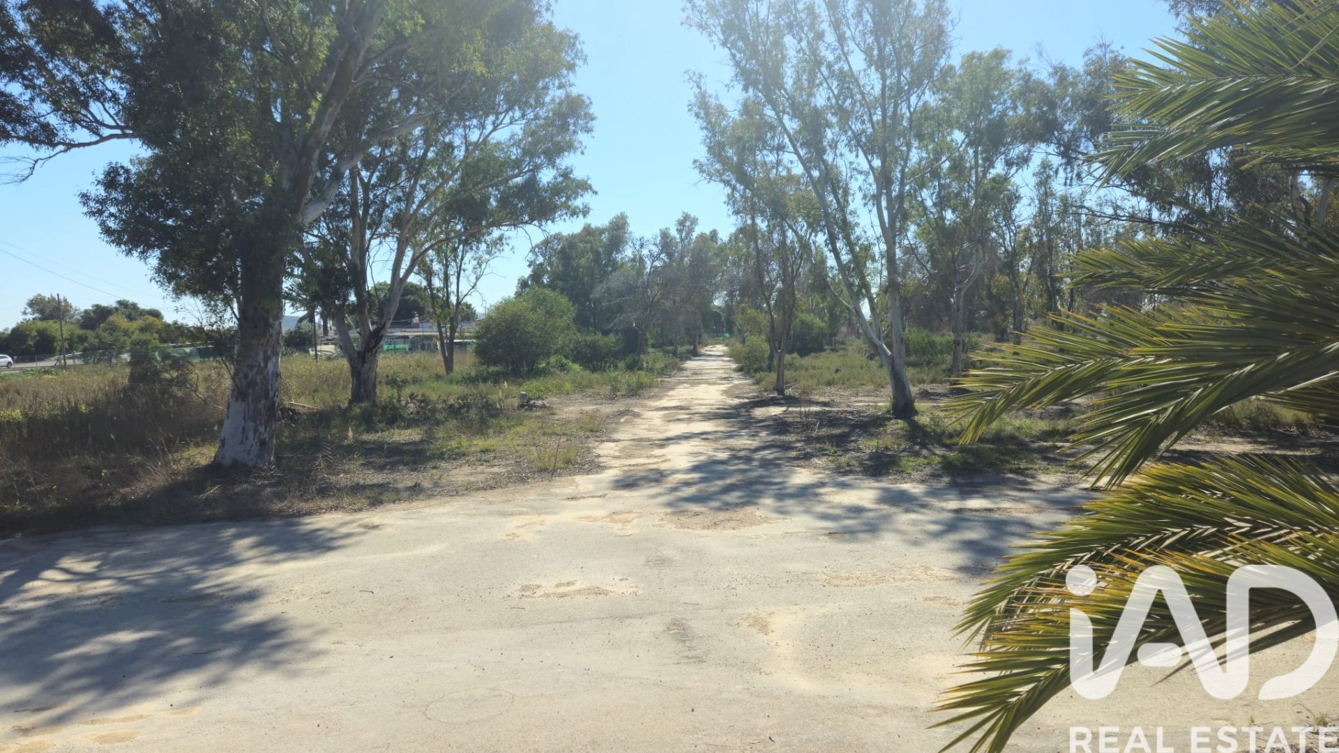 Zemes gabals Cartagena, Murcia, Spānijā 62300 m2 Nr. 172356