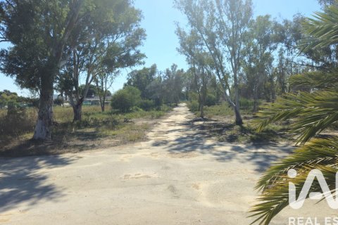 Land zum Verkauf in Cartagena, Murcia, Spanien 62300 m2 Nr. 172356 - Foto 23