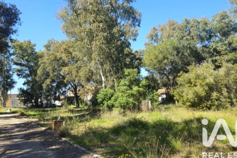 Land zum Verkauf in Cartagena, Murcia, Spanien 62300 m2 Nr. 172356 - Foto 19